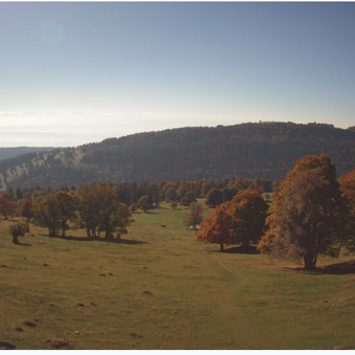 Jurahaus SAC Biel: Live Views from Prés-d'Orvin, Swiss Jura Mountains