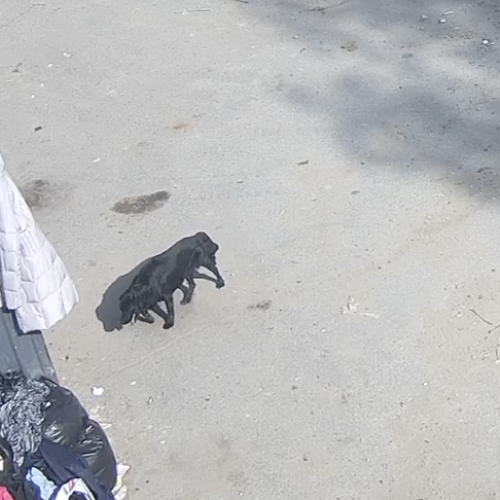 Astrakhan Live: Observing Daily Life and Local Scenes in Russia