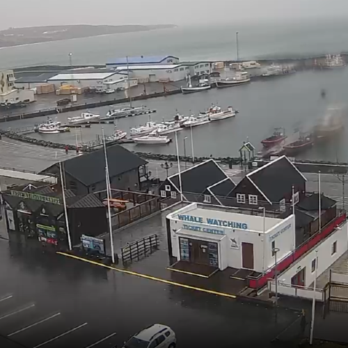 Húsavík Whale Watching Live Camera | Norðurþing, Iceland