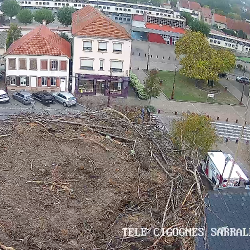 Sarralbe, Grand Est, France Live Cam: Town Square & Stork Nest View