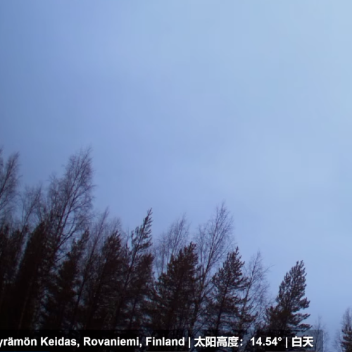 Käyrämö, Lapland, Finland Live Webcam – Arctic Forest Views