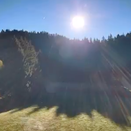 Gérardmer Forest Live: Grand Est Nature Webcam