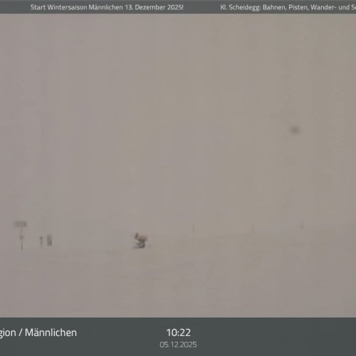 Wengen-Männlichen Live Webcam: Swiss Alps Ski Region HD View