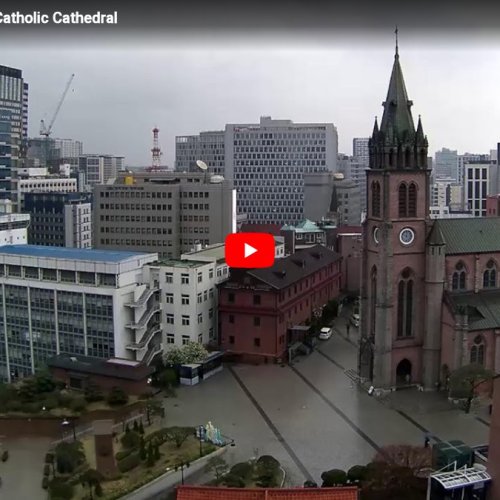 Myeongdong Catholic Cathedral Live View