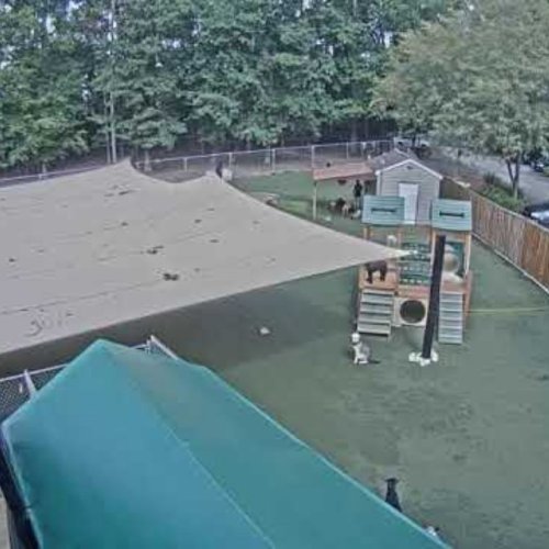 Dogwood Acres Daycare Play Yard Live in Davidsonville, MD