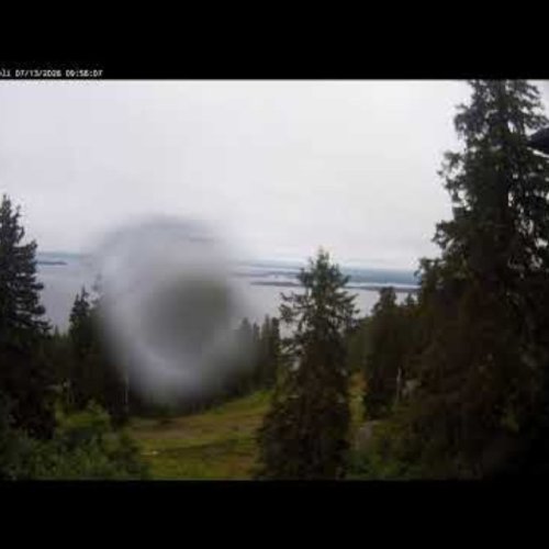 Koli Hilltop Live: Lake Pielinen Views, Finland