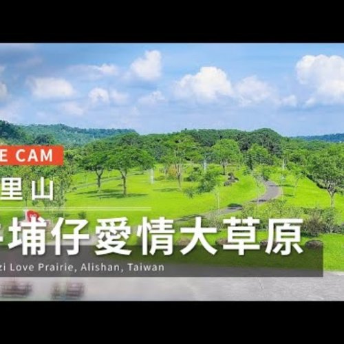 Niupuzai Love Prairie Live: Alishan's Scenic Views