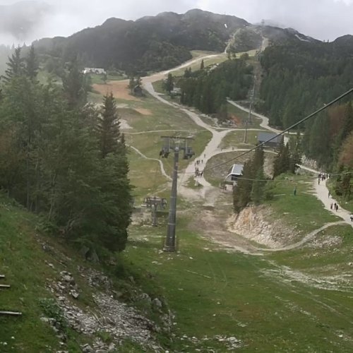 Vogel Brunarica Slovenia Live View