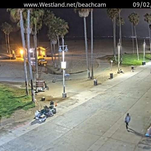 Live Venice Beach Webcam: Oceanfront Boardwalk & Palm Trees
