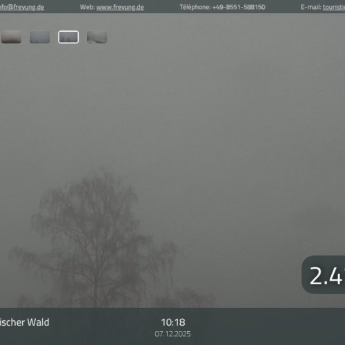 Freyung Bavarian Forest Live Webcam: Scenic Views & Weather