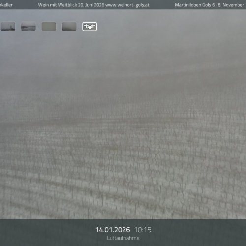 Gols, Austria Live FlyingCam: Vineyards & Lake Neusiedl Panoramas