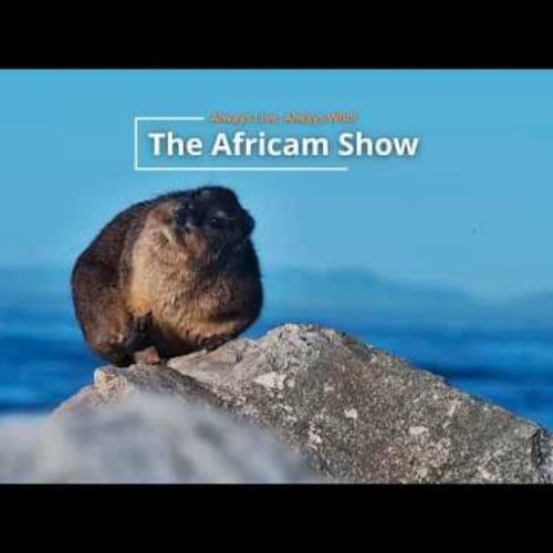 Sihangwane Live Camera: African Wildlife & Coastal Views
