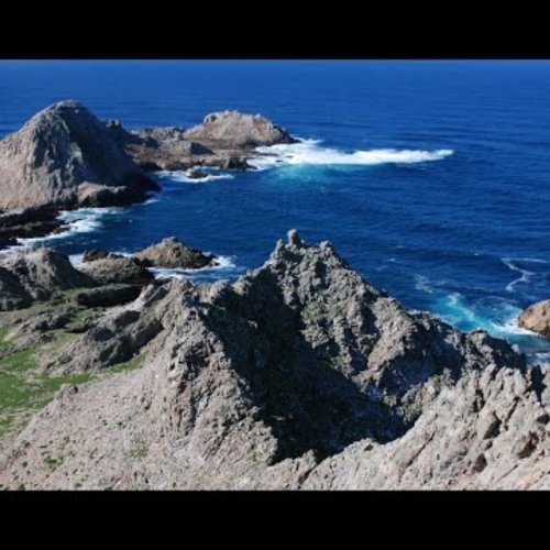 Farallon Islands Live Webcam: Wild Pacific Views from San Francisco
