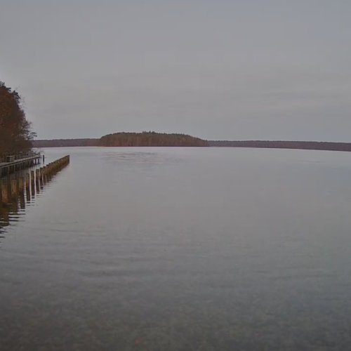 Stechlinsee Live Webcam: Serene Lake View from Menz, Germany