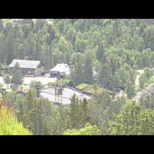 Gålå General Store Bird Feeder Live View | Norway Nature Cam