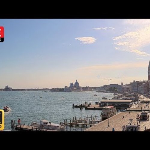 Venice: St. Mark's Basin Live View