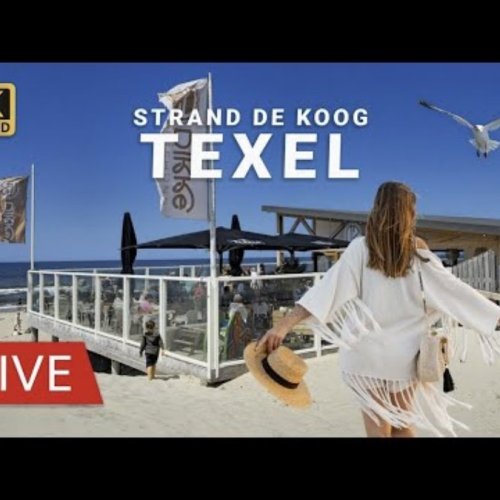 De Koog Beach & North Sea Live View