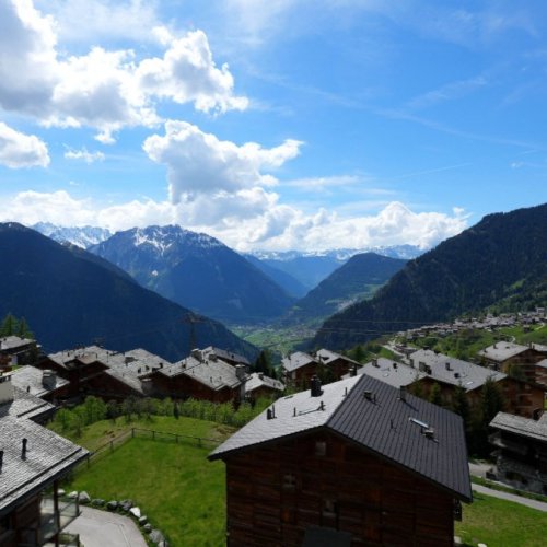 Verbier W Live View