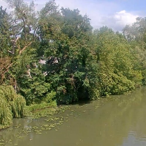 Louhans La Seille River View 🌿🇫🇷