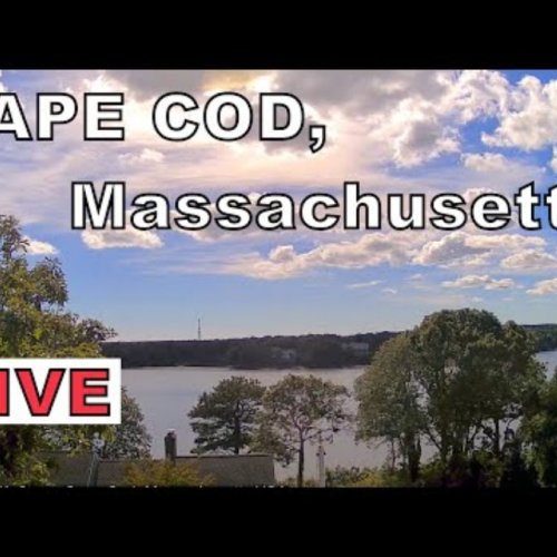 Bass River, Cape Cod: A Serene Coastal Live Stream 🌊