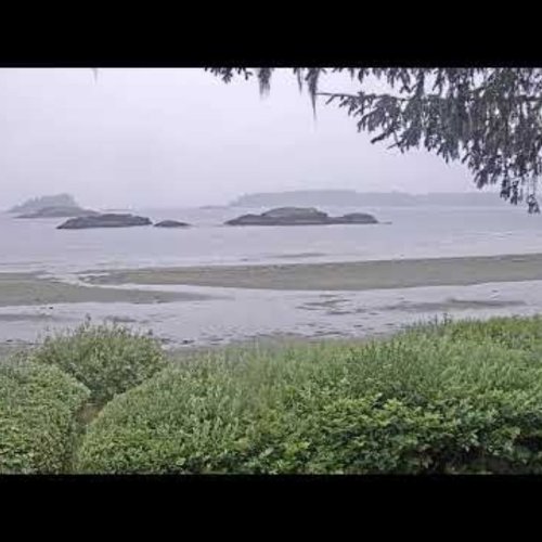 Tofino Ocean Village Resort Beachfront: A Live Look at Canada's Pacific Coast