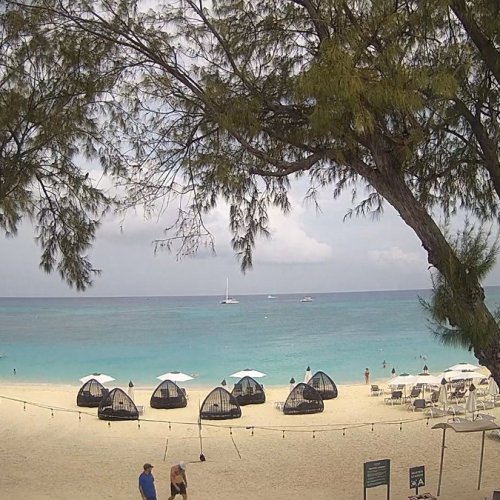 Grand Cayman Island Beach Live Stream - Seven Mile Beach 🏖️