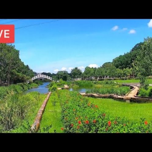Cihu Memorial Sculpture Park Live Webcam: Ercengzi, Taiwan