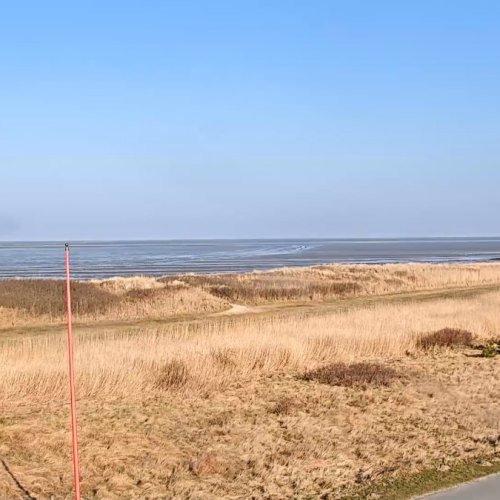 Hundestrand Cuxhaven Sahlenburg Live Webcam: Wadden Sea Views