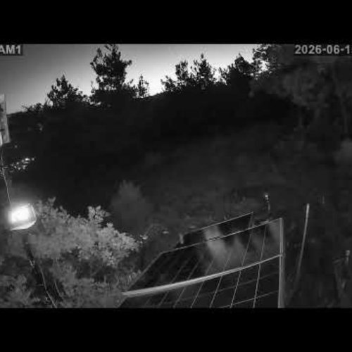 Erbaa Wildlife Hillside | Live Stream in Turkey