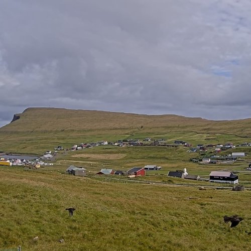 Skálavík Live Webcam: Faroe Islands Coastal View