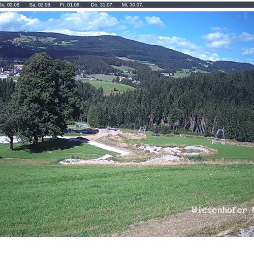 Wiesenhofer Miesenbach Live Webcam – Austrian Alpine Valley Views