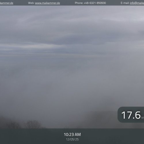 Maikammer Kalmitgipfel Live Webcam: Palatinate Forest Views