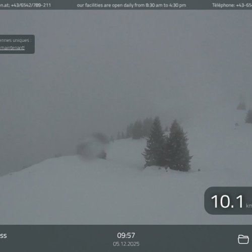 Zell am See Webcam Live – Schmittenhöhe Mountain Views