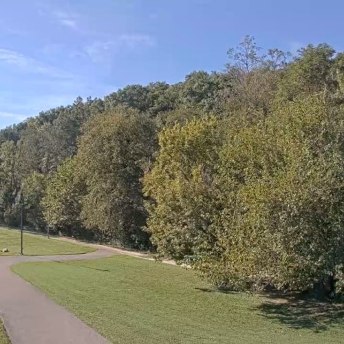 Nashville, Indiana Park Path Live Stream