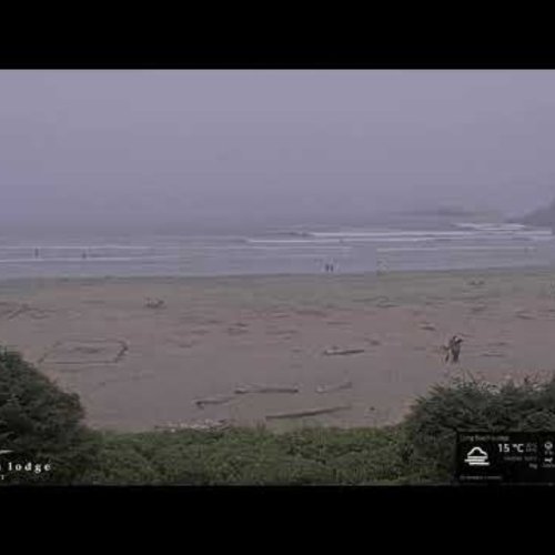 Cox Bay Beach Live Webcam: Tofino's Iconic Surf Spot