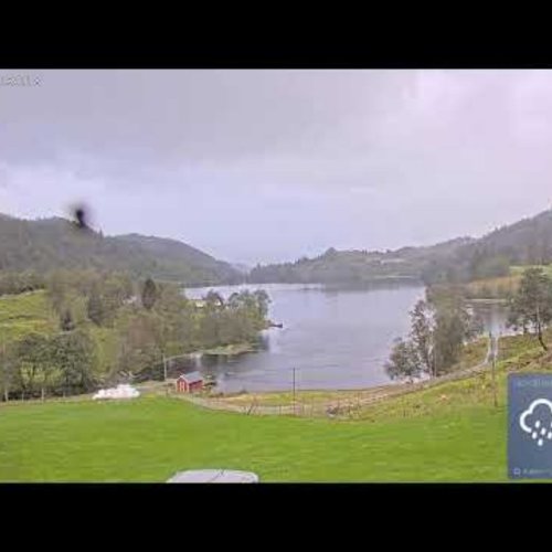 Nordfjord Deer Farm Live Webcam: Norway's Scenic Views