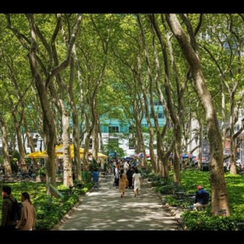 Bryant Park Live Webcam: Midtown Manhattan's Green Oasis ๐ณ๐ฝ