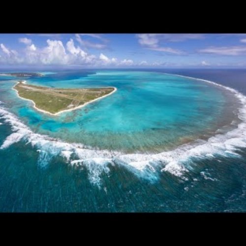 Midway Atoll Live View: Aerial Perspective of the Coral Sanctuary
