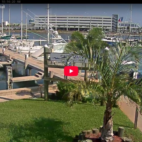 Live from Cape Marina, Port Canaveral, Florida