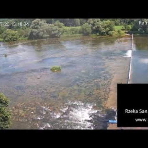 San River at Zasław – Anglers' Paradise Live Stream