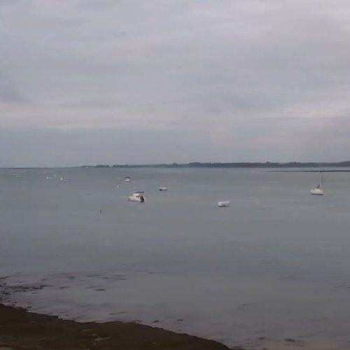 Damgan Port de Pénerf Live Webcam: Brittany's Coastal Charm