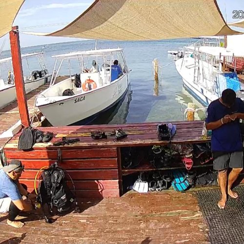 Roatan Divers West End Dock Live Stream, Honduras
