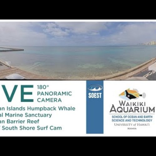 Waikiki Aquarium: 180° Panoramic Shoreline Live View