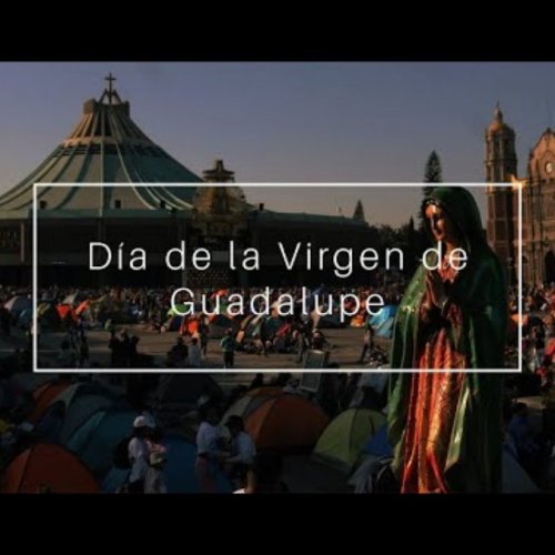 Basilica de Guadalupe Live Webcam: Mexico City's Spiritual Hub