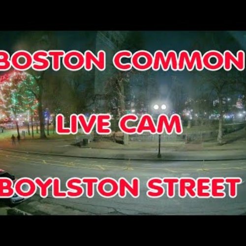 Boston Common At Boylston Street Live View
