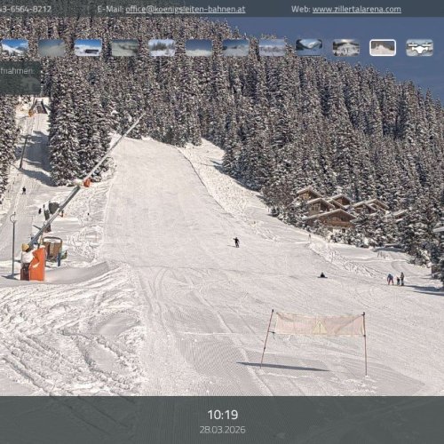 Wald im Pinzgau - Märchenwald Live Cam