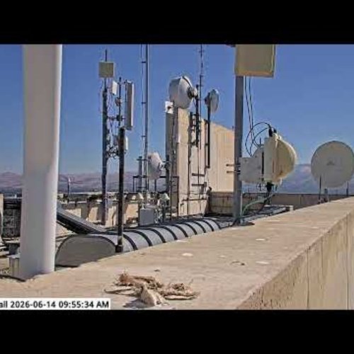 San Jose City Hall Rooftop Panorama | Live View