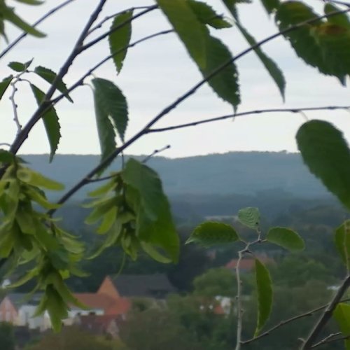 Melle Live Webcam: Basse-Saxe, Germany