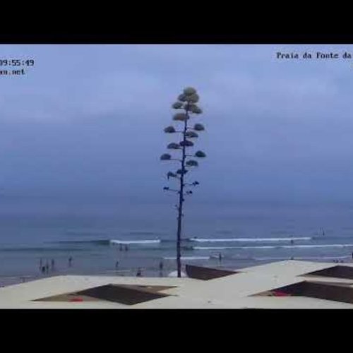 Fonte da Telha Beach Live Webcam, Portugal