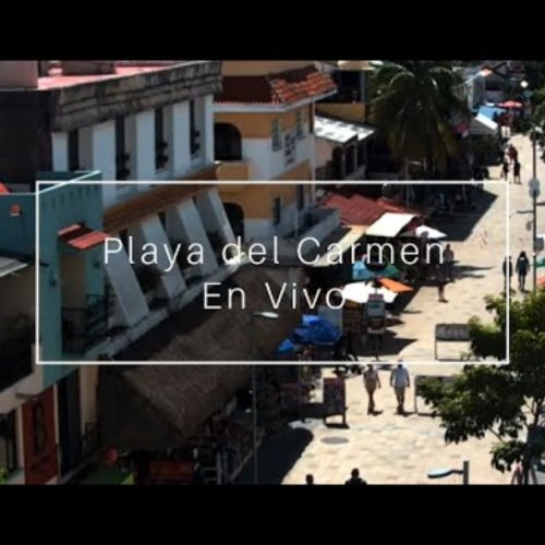 Quinta Avenida Live Webcam: Playa del Carmen, Mexico